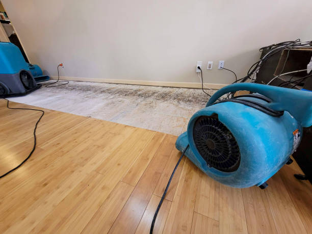 Professional Structural Drying technician working in Ackworth, IA